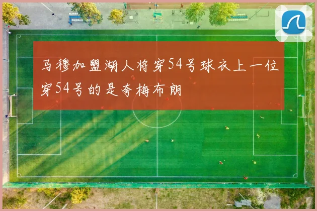 马穆加盟湖人将穿54号球衣上一位穿54号的是夸梅布朗