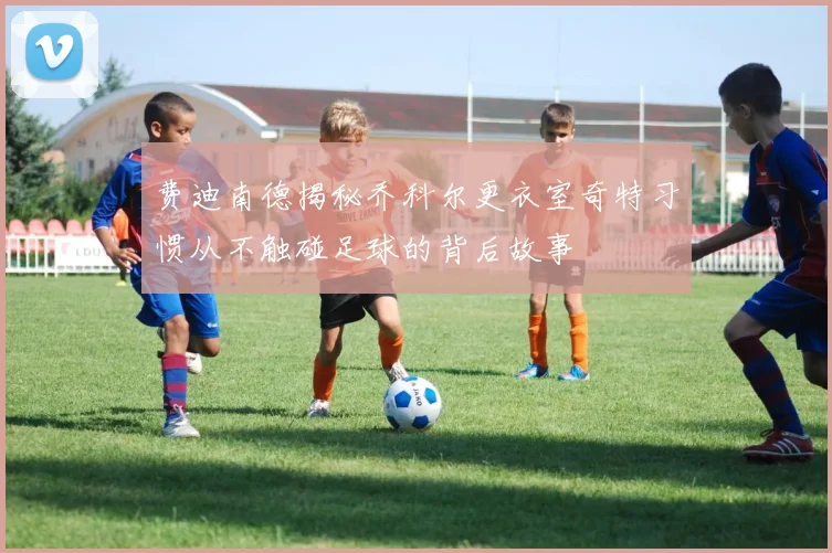费迪南德揭秘乔科尔更衣室奇特习惯从不触碰足球的背后故事